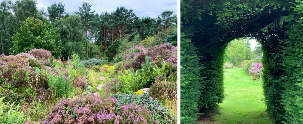 Dundee Botanic Gardens